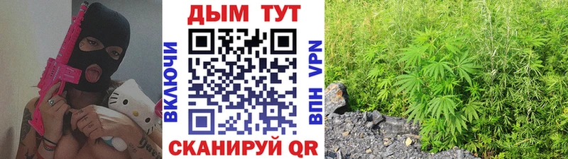 Наркошоп купить ГАШИШ  Кокаин  Мефедрон  Марихуана  Выборг