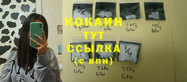 прущий лед Бородино