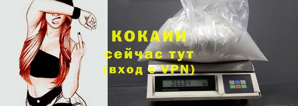 прущий лед Бородино