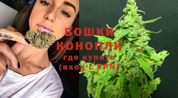 прущий лед Бородино