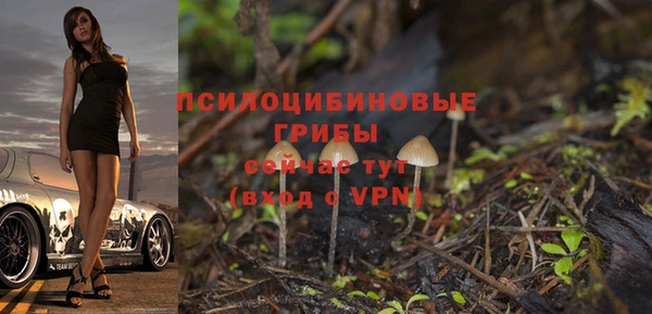spice Бугульма