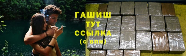 прущий лед Бородино